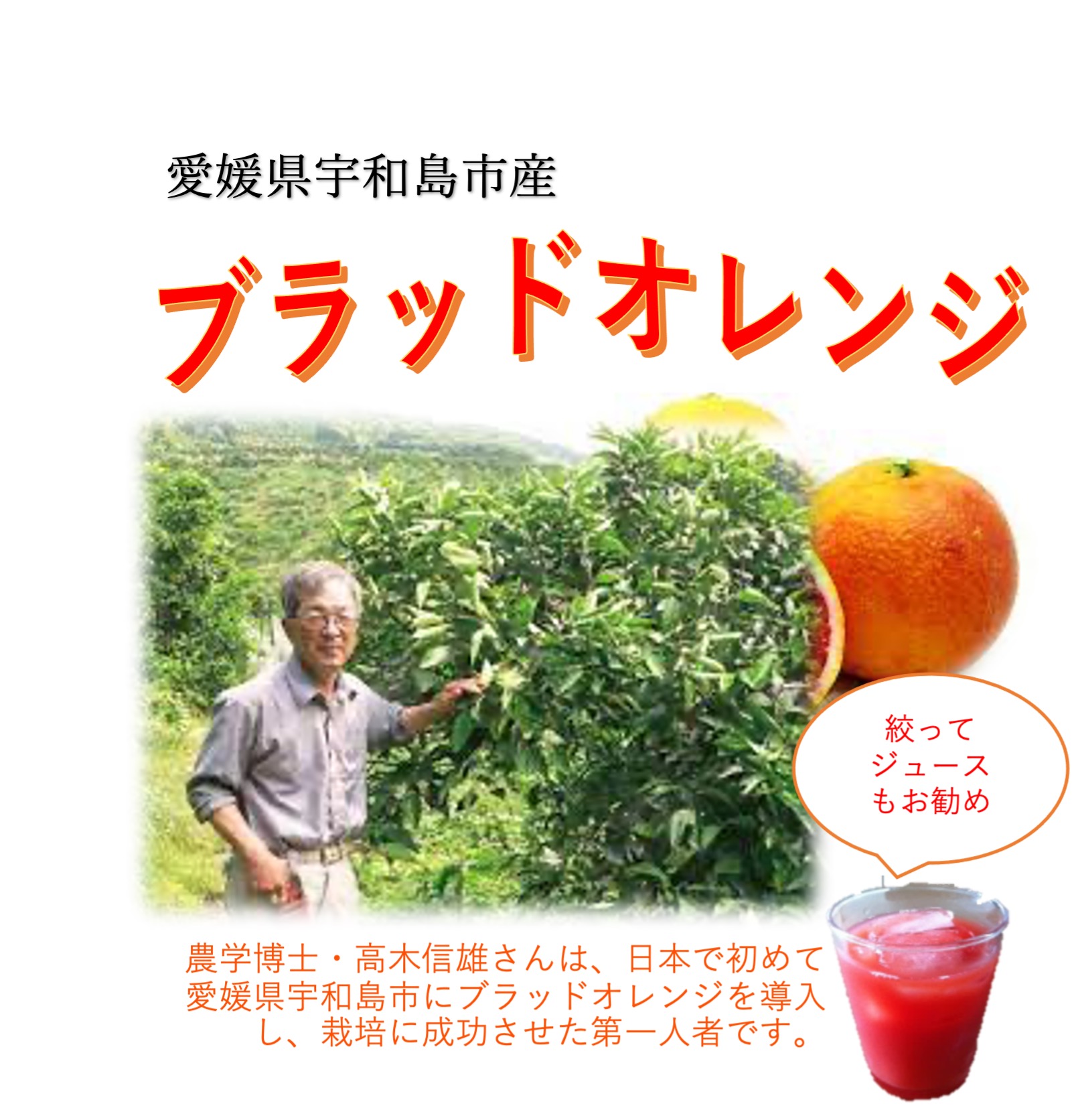 ブラッドオレンジ