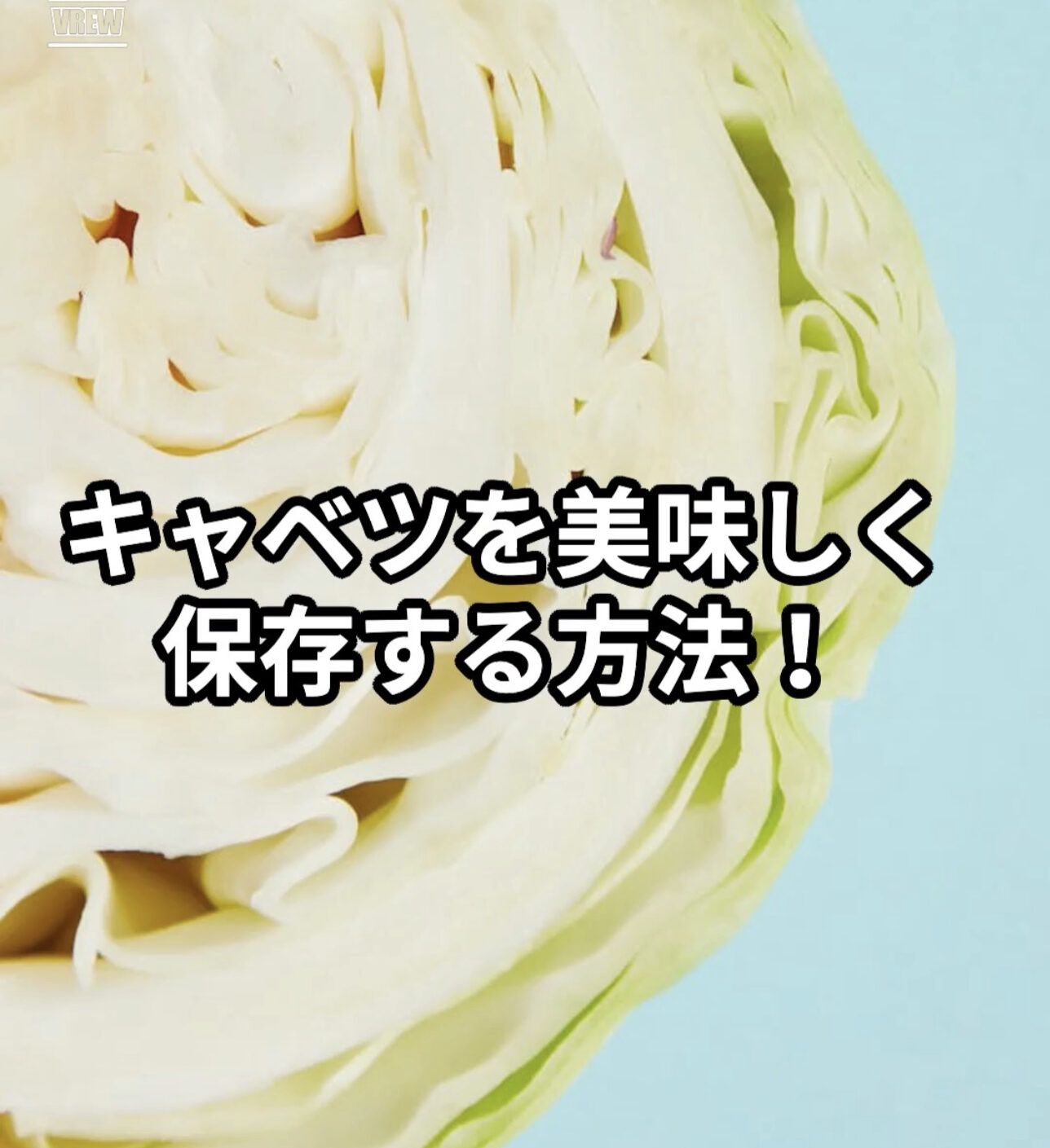 キャベツを美味しく保存する方法！