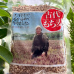 古代もち麦熊谷・ゆたか農場
